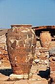 Giant pythos storage jar  Minoan Palace of Malia, Crete, Greece