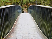 Woodburn footbridge over the River Brathay at Skelwith Bridge in the Lake District National Park, Cumbria, England, United Kingdom