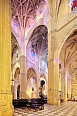 Santa Maria de la Asuncion church 15th century, town of Carmona, province of Seville, Andalusia, Spain