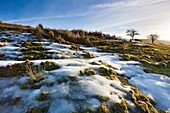 Brightly lit snow on Darmoor Devon England UK