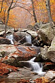 Santa Fe lake, Natural Park of Montseny, Barcelona, Spain