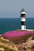 Lighthouse of Illa Pancha, Ribadeo, Lugo, Galicia, Spain