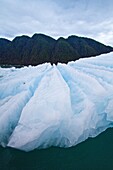 Glacial iceberg detail from ice calved off the LeConte Glacier near Petersberg, Southeast Alaska, USA, Pacific Ocean  MORE INFO LeConte Glacier is the southernmost tidewater glacier in North America  Like most of the 100, 000 glaciers in Alaska the LeCont