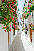 Spain, Andalousia, little street in a village