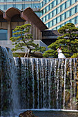 Young newlyweds have their picture taken at the traditional Edo-era Japanese garden, once a samurai lord's residence, located inside the New Otani Hotel in the upscale Akasaka district of central Tokyo, Japan.