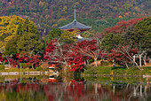 A telephoto view shows the pagoda of Gosha Myojin Shrine and Osawa-no-ike pond (said to be the oldest garden pond in Japan), located at Daikakuji Temple, a World Heritage Site in northwestern Kyoto, Japan.