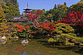 A wide-angle view shows the Hokutei pond garden in autumn with Goju-no-to Pagoda inside Ninnaji Temple, a World Heritage Site located in the northern area of Kyoto, Japan.