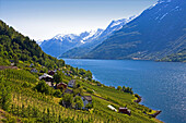 Norway-June 2009 Hardarnerfjord Lofthus City