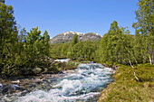 Norway-June 2009 Sogn Fjordanen District-River