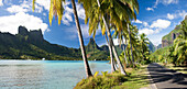 Tahiti-May 2009 Moorea Island (Society islands) Cook's Bay