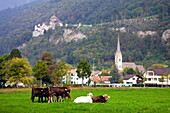 Liechtestein, October 2009 Vaduz City and the Castle