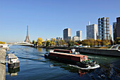 France, Ile-de-France, Paris, 15th, Bank of the Seine, Forehead(Front) of the Seine, District Beaugrenelle, Gone from Swans