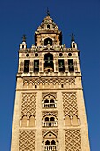 Giralda, the Sevilla cathedral bell tower (formerly a minaret) . Sevilla. Spain.