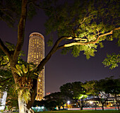 Stamford Hotel seen behind the tree at night, Singapore