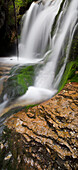 Waterfall in Vallesinella valley, Brenta Adamello Nature Reserve, Madonna di Campiglio, Trentino, Italy