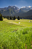 Golf course Campo Carlo Magno near Madonna di Campiglio, Brenta Massive, Trentino, Italy