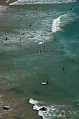Surfers with surf boards in the water, west coast of Algarve, Costa Vicentina, Algarve, Algarve, Portugal, Europe