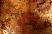 Bison, prehistoric painting, cave painting, about 25000 BC, Cueva de Altamira, Höhle bei San Santillana del Mar, Kantabrien replica, Parque de la Prehistoria de Teverga, Teverga, Park of Prehistory in Teverga, province of Asturias, Principality of Asturia