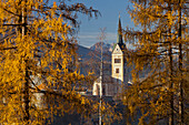 Pfarrkirche, Radstadt, Salzburg, Österreich