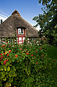 Der Garten des Ehepaares Chalupka mit dem alten Wohngebäude von 1756, Hestoft, Schlei, Schleswig-Holstein, Deutschland, Europa