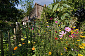 Blumen im Garten des Ehepaares Chalupka, Hestoft, Schlei, Schleswig-Holstein, Deutschland, Europa