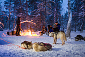 Schlittenhunde und eine Gruppe Menschen sitzen im Winter um ein Lagerfeuer, Lappland, Finnland, Europa