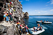Tourists boarding rubber boats, pangas, Island Tower of Genovesa, South America