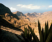 View over sisal agaves into the valley Ribeira Principal, south of Tarrafal, Santiago island, Ilhas do Sotavento, Republic of Cape Verde, Africa