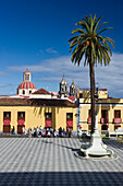 Platz mit Palme in La Orotava, Teneriffa, Kanarische Inseln, Spanien, Europa