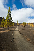 Mirador de Chio, Teide Nationalpark, Teneriffa, Kanarische Inseln, Spanien, Europa