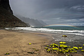 Deserted beach, Playa de Benijo, Taganana, Anaga mountains, Tenerife, Canary Islands, Spain, Europe