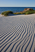 Sand ripples on a dune, Western Pomerania Lagoon Area National Park, Ostzingst, Fischland-Darss-Zingst Peninsula, Baltic Sea, Mecklenburg Vorpommern, Germany