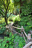Path through Andre Hellers' Garden, Giardino Botanico, Gardone Riviera, Lake Garda, Lombardy, Italy, Europe