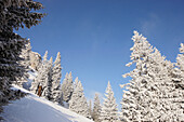 Mensch mit Skiern in verschneiter Landschaft, Brauneck, Tölzer Land, Bayern, Deutschland, Europa