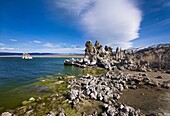 Mono Lake  California, USA