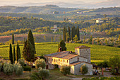Chianti classico vineyards in autumn. Chianti classico vineyards in autumn