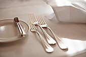 Close up of forks in place setting. Close up of forks in place setting