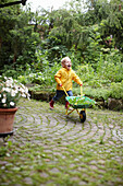Toddler boy with wheelbarrow in backyard. Toddler boy with wheelbarrow in backyard