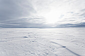 Snow_covered field and horizon line. Snow_covered field and horizon line