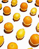 Lemons and oranges arranged in grid. StillLife,Oranges,Lemons,Fruit,Orange,Yellow,Texture,Pattern,Uniform,White,Graphic,Shadows,Art,Photo