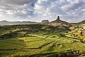 Landscape in the province Tigray, northern Ethiopia  During and after the rainy season, green fields and pasture are dominating Tigray  Corn, Sorghum, Teef local grain for injera, the typical Ethiopian bread are widespread  Africa, East Africa, Ethiopia