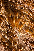 The Baradla Show Cave in the Aggtelek National Park, Hungary, sinter straws  The Baradla Cave in Aggtelek National Park is part of the UNESCO world heritage site of the caves of the Aggtelek and slovak karst  The cave is one of the major attractions of Hu