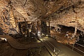 The Baradla Show Cave in the Aggtelek National Park, Hungary, Hall of Pillars  The Baradla Cave in Aggtelek National Park is part of the UNESCO world heritage site of the caves of the Aggtelek and slovak karst  The cave is one of the major attractions of