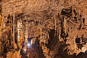 The Baradla Show Cave in the Aggtelek National Park, Hungary  Hall of the Giants, 125 m long and 55 m wide  The Baradla Cave in Aggtelek National Park is part of the UNESCO world heritage site of the caves of the Aggtelek and slovak karst  The cave is one