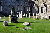 Tombstones, Tipperary, Rock of Cashel, Ireland