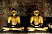 Buddha statues inside Dambulla cave temple complex in Sri Lanka