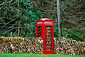 British classic red telephone phone box kiosk used as wood log store