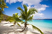 Salomon Beach in the Virgin Islands National Park on the Caribbean Island of St John in the US Virgin Islands