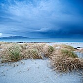 Dune grass blows in wind on stormy day overlooking Sound of Harris, Berneray, Outer Hebrides, Scotland