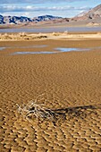 Racetrack playa lakebed muddy from winter rain, Death Valley national park, California